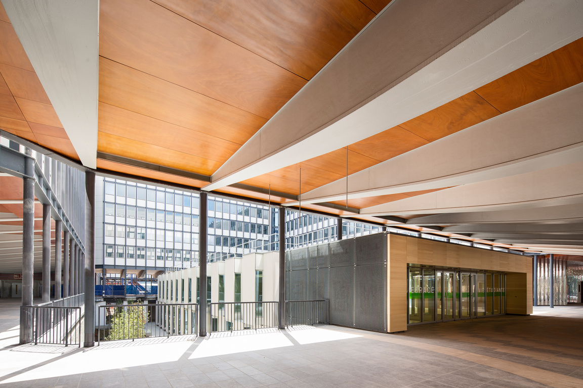 Jussieu